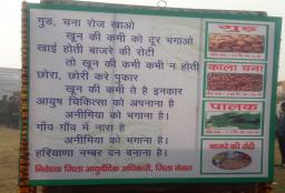 Jhanki-organised-at-various-District-Ayurvedic-offices-Haryana